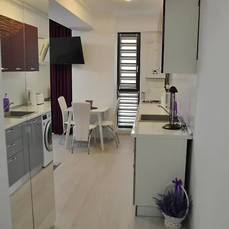 公寓 Purple Studio Riva Lake